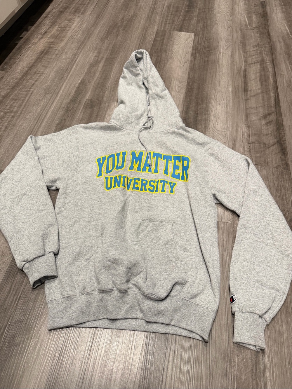 Demetrius Harmon You Matter University Champion Hoodie Gray Small Rare